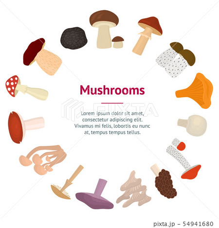 Cartoon Color Poisonous and Edible Mushrooms Banner Card Circle. Vector Cartoon Color Poisonous and Edible Mushrooms Banner Card Circle. Vector 54941680
