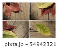 Autumn leaf collection for your design 54942321