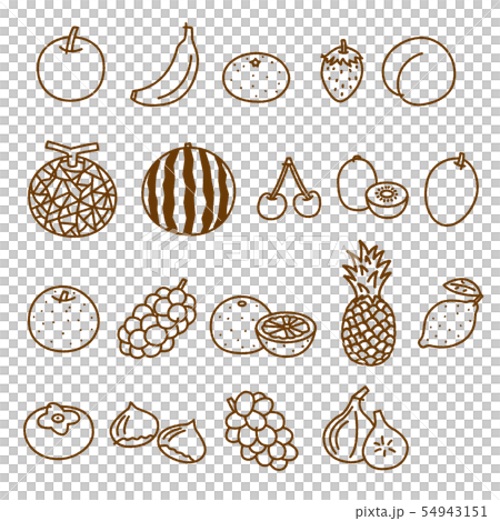 Fruit Assorted Organic Fruit Line Drawings 54943151