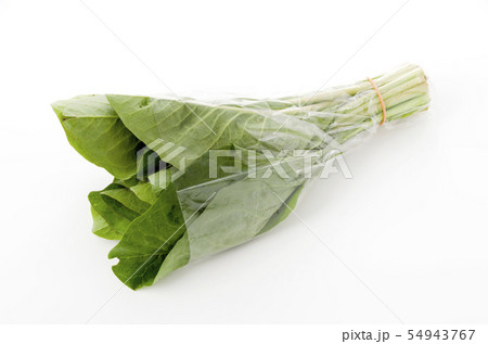 ニガナ、ンジャナ(ホソバワダン)袋入り ニガナ、ンジャナ(ホソバワダン)袋入り 54943767