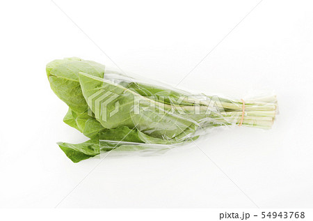 ニガナ、ンジャナ（ホソバワダン）袋入り 54943768