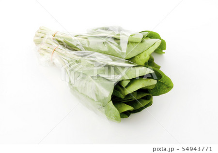 ニガナ、ンジャナ（ホソバワダン）袋入り 54943771