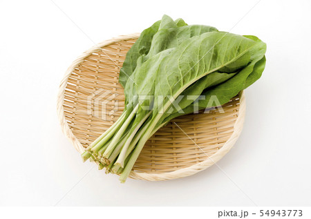 ニガナ、ンジャナ（ホソバワダン） 54943773