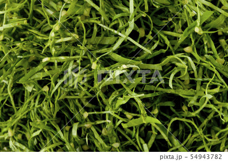 刻んだ野菜 ニガナ、ンジャナ(ホソバワダン)アップ 刻んだ野菜 ニガナ、ンジャナ(ホソバワダン)アップ 54943782