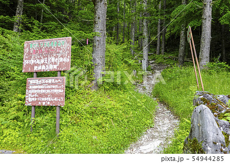 鳥倉林道登山口 54944285