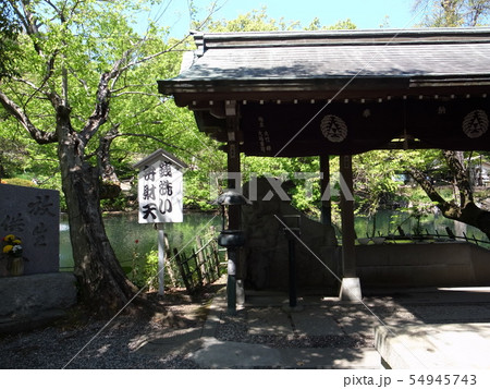 井の頭弁財天(銭洗い弁財天) 井の頭弁財天(銭洗い弁財天) 54945743