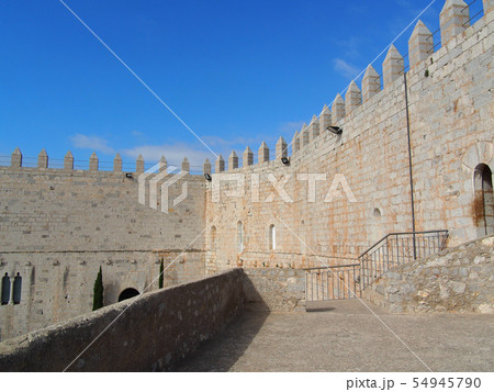 ペニスコラ 54945790