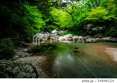 新緑の小田深山渓谷 54946124