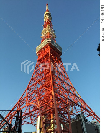 晴天の日　足元から見上げる東京タワー 54946191