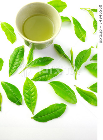 新茶と茶葉 新茶と茶葉 54946560