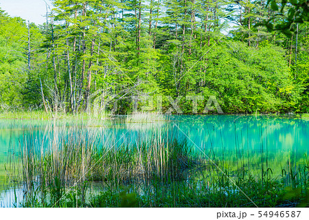 弁天沼、コバルトブルー、エメラルドグリーン、空色、五色沼、裏磐梯、福島、神秘的な沼、青い沼、快晴 54946587