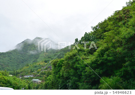 タヒチ　モーレア島 54946623