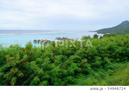 タヒチ　モーレア島 54946724