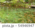 池 54946947