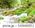 渓流水 54946951
