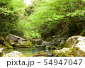 自然と山 54947047
