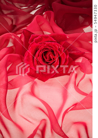 Flowers And Fabric 54947330