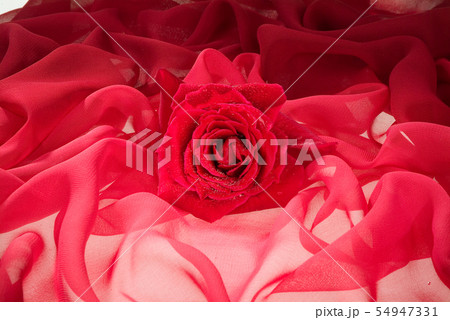 Flowers And Fabric Flowers And Fabric 54947331