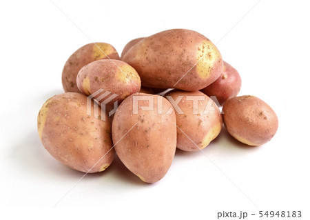 ジャガイモ（インカのひとみ） 54948183