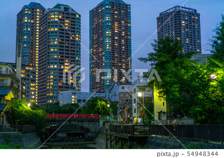 高層ビル群の佃小橋の夜景 高層ビル群の佃小橋の夜景 54948344