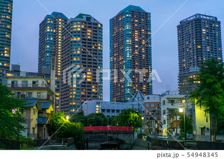 高層ビル群の佃小橋の夜景 高層ビル群の佃小橋の夜景 54948345