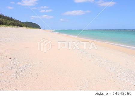 奄美大島の海 54948366