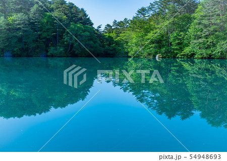 毘沙門沼、五色沼、五色沼湖沼群、裏磐梯、福島、神秘的な沼、青い沼、新緑の沼、ハイキングコース、 54948693