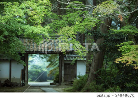 初夏の龍潭寺 初夏の龍潭寺 54949670