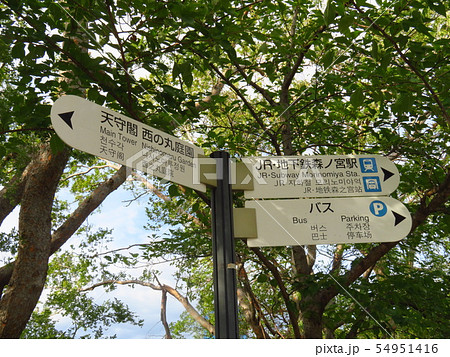 大阪城公園 大阪城公園 54951416