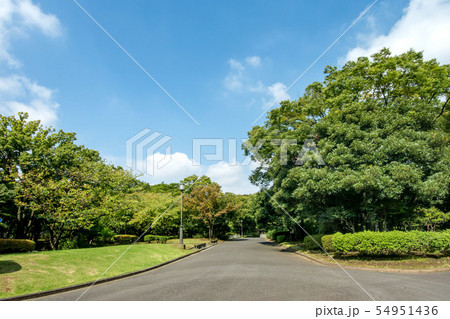 国会前庭和式庭園 54951436