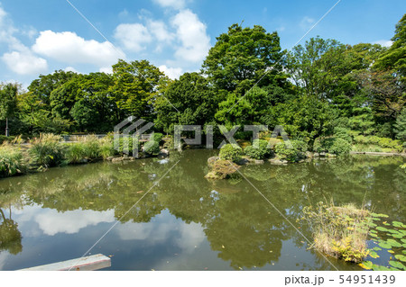 国会前庭和式庭園 国会前庭和式庭園 54951439
