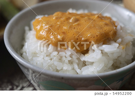 卵黄ひきわり納豆ごはん 卵黄ひきわり納豆ごはん 54952200