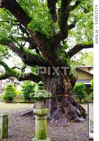 土肥温泉・土肥神社 土肥温泉・土肥神社 54952574