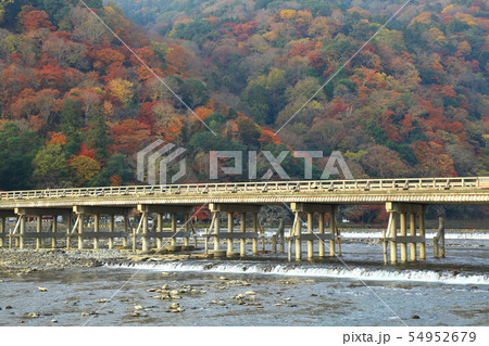 京都　嵐山の紅葉 54952679