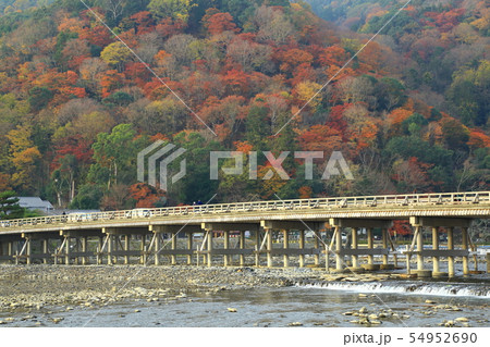 京都　嵐山の紅葉 54952690