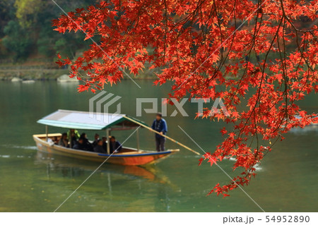 京都 嵐山の紅葉 京都 嵐山の紅葉 54952890