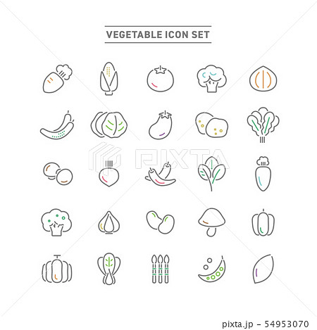 VEGETABLE ICON SET VEGETABLE ICON SET 54953070