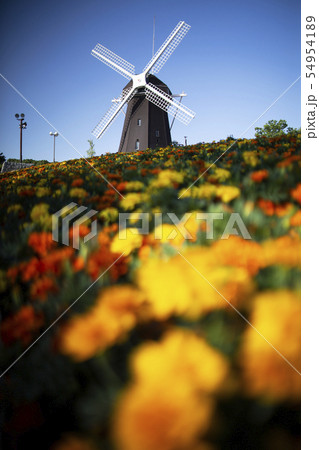 鶴見緑地公園の風車の丘 54954189