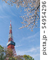 東京タワーと桜 54954296