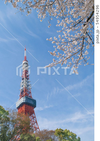 東京タワーと桜 54954296