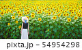 ヒマワリ畑にて 54954298