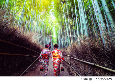 Traveler in Bamboo Forest Grove, Kyoto, Japan Traveler in Bamboo Forest Grove, Kyoto, Japan 54955429