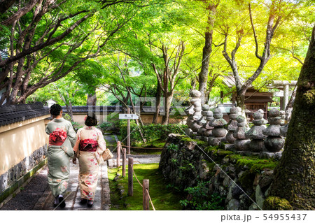 Traveler in Japanese Garden, Kyoto, Japan Traveler in Japanese Garden, Kyoto, Japan 54955437