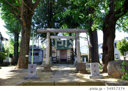 中野区 天祖神社 中野区 天祖神社 54957374