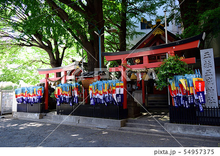 中野区 五柱五成神社 中野区 五柱五成神社 54957375