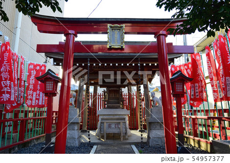 中野区 中央 白玉稲荷神社 54957377