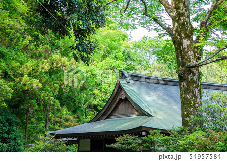 境内 伊勢神宮内宮 54957584