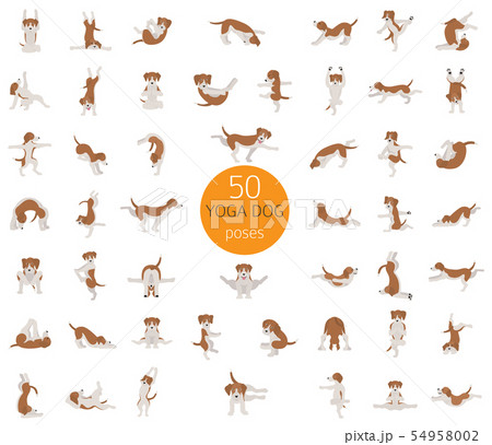 Yoga dogs poses and exercises doing clipart. Funny Yoga dogs poses and exercises doing clipart. Funny 54958002