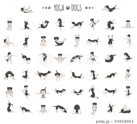 Yoga dogs poses and exercises doing clipart. Funny 54958003