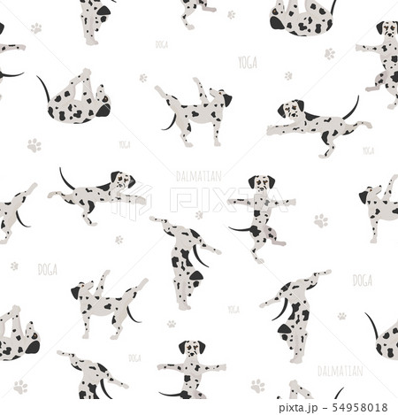 Yoga dogs poses and exercises. Bull terrier 54958018